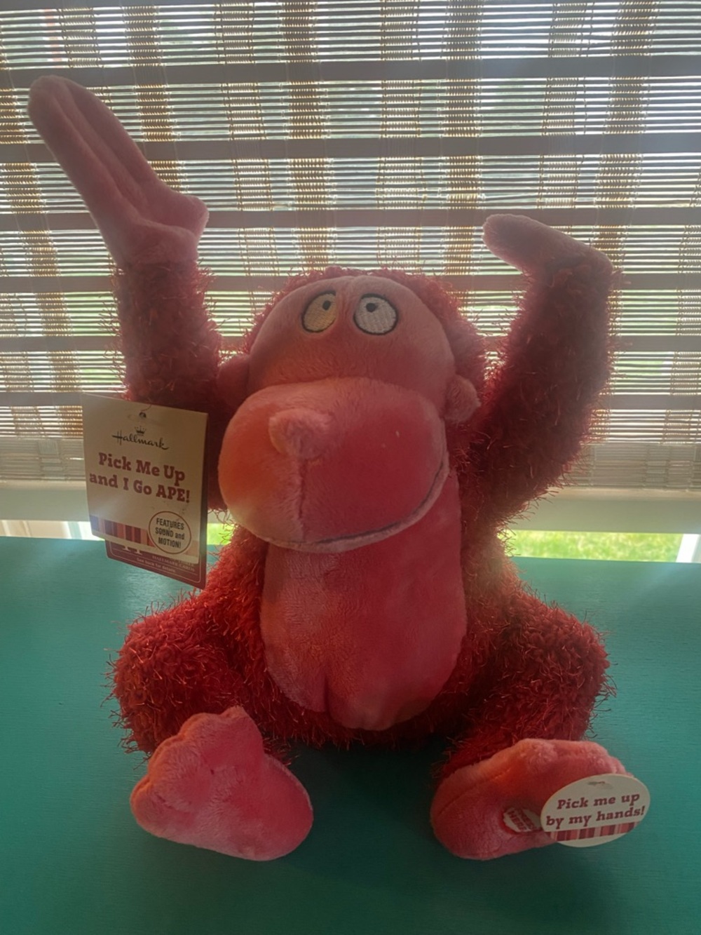 Hallmark Pink talking Monkey for Vday!